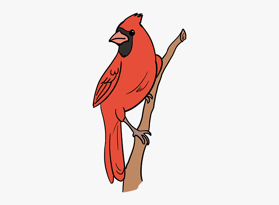 Clip Art How To Draw A - Draw A Red Bird, Transparent Clipart
