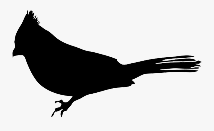 Bird European Robin Silhouette Clip Art - Robin Bird Silhouette Png, Transparent Clipart