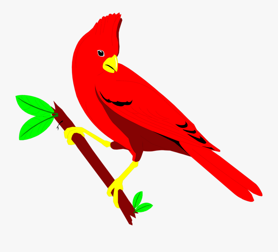 Animated Gif Transparent Cardinal, free clipart download, png, clipart , cl...