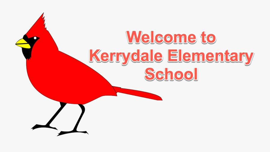 Bird Northern Cardinal St - Bird Clip Art, Transparent Clipart