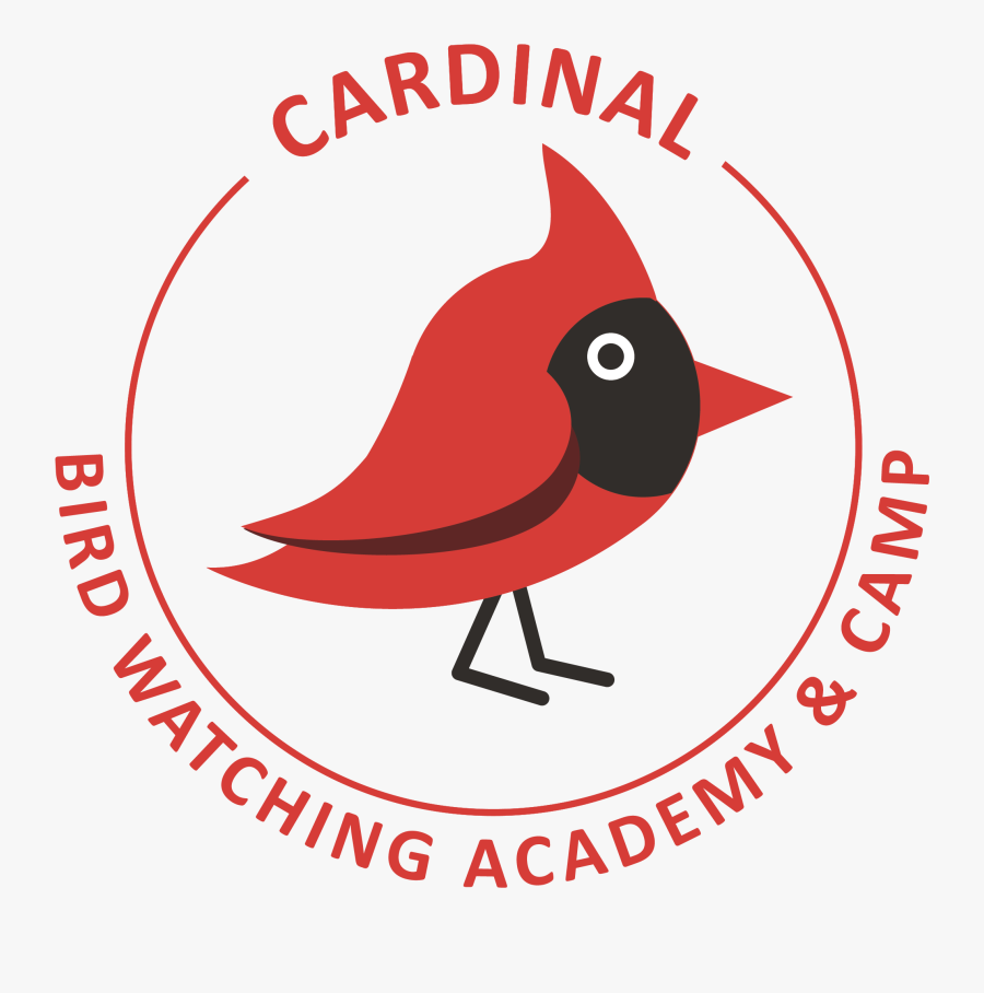 Transparent Cardinal On Branch Clipart - Cwmbran Town Fc, Transparent Clipart
