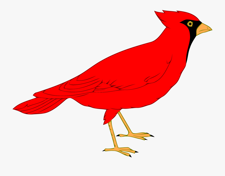 Northern Cardinal St, Transparent Clipart