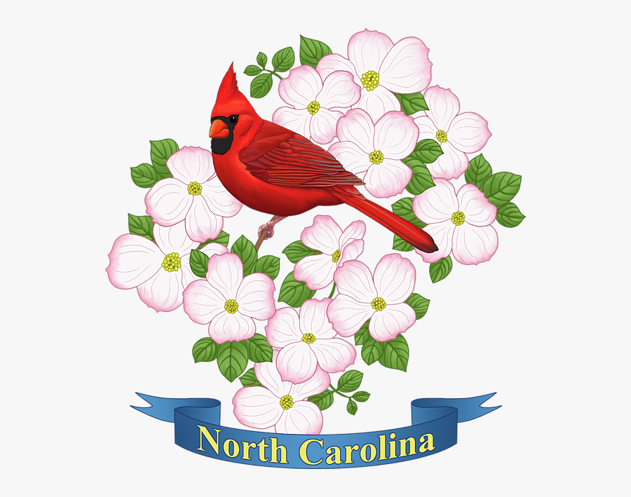 Transparent North Carolina Clipart - State Of North Carolina Flower, Transparent Clipart
