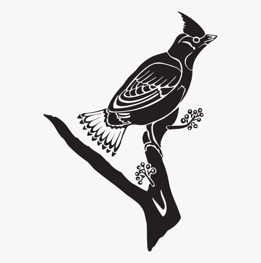 Woodpecker, Transparent Clipart
