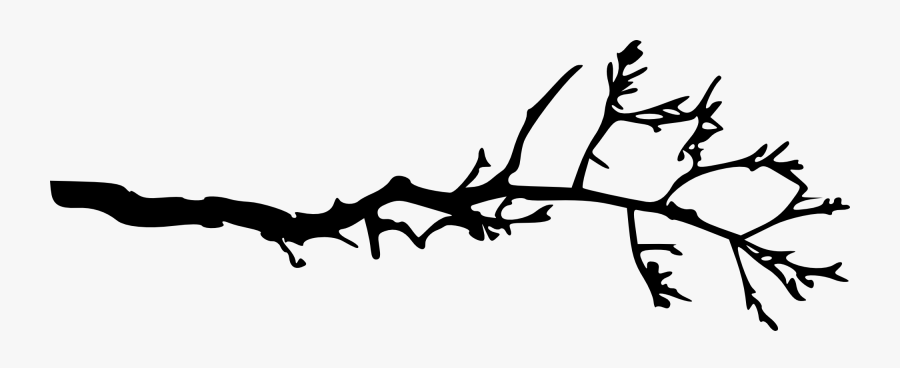 Transparent Cardinal Clipart - Branch Black And White Clipart, Transparent Clipart