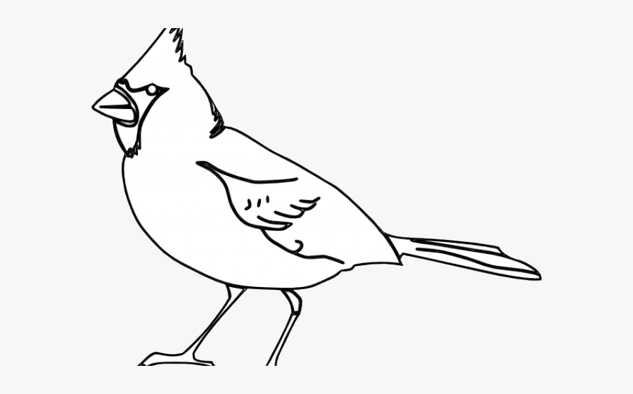 Cardinals Birds Clip Art, Transparent Clipart