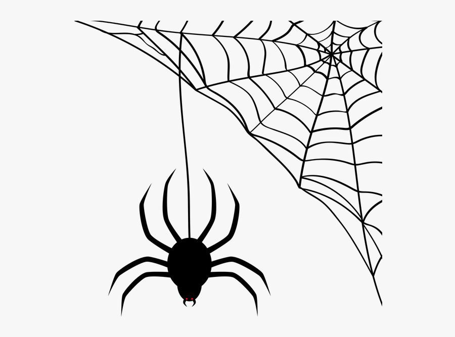 Download Spider Web Transparent Clipart Spider-man - Transparent Background Spider Web Clipart, Transparent Clipart