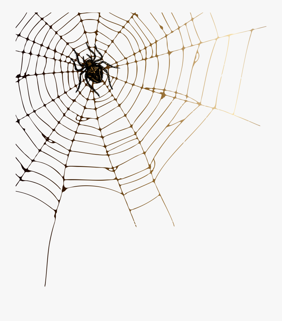 Spider Web Png, Transparent Clipart