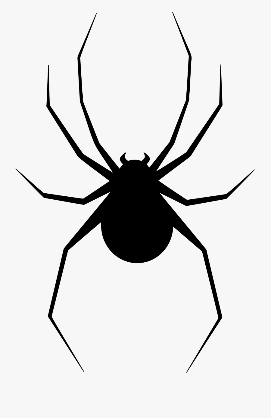 Silhouette Spider At Getdrawings - Spider Silhouette Png, Transparent Clipart