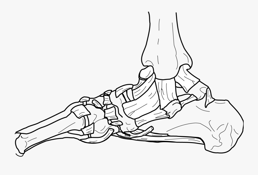 Clip Art For Free Download - Illustration, Transparent Clipart