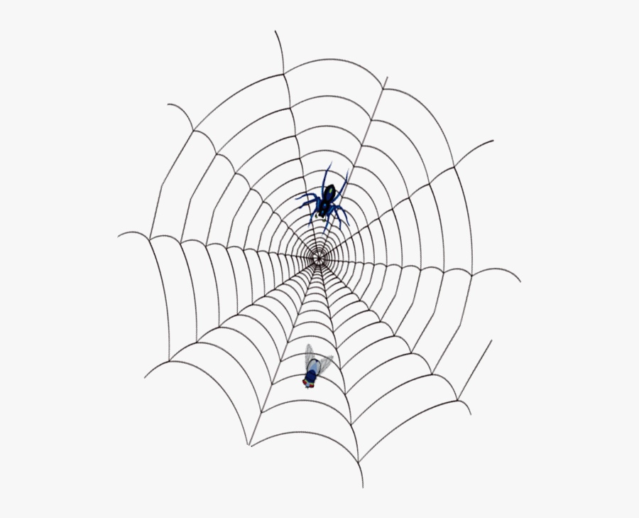 Clip Art Cartoon Cobwebs - Spider Web, Transparent Clipart