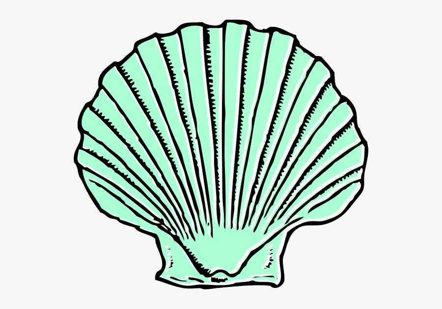 Shell Clip Art, Transparent Clipart