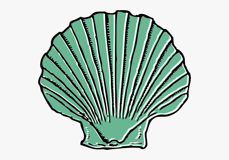 Sea Shell Clip Art, Transparent Clipart