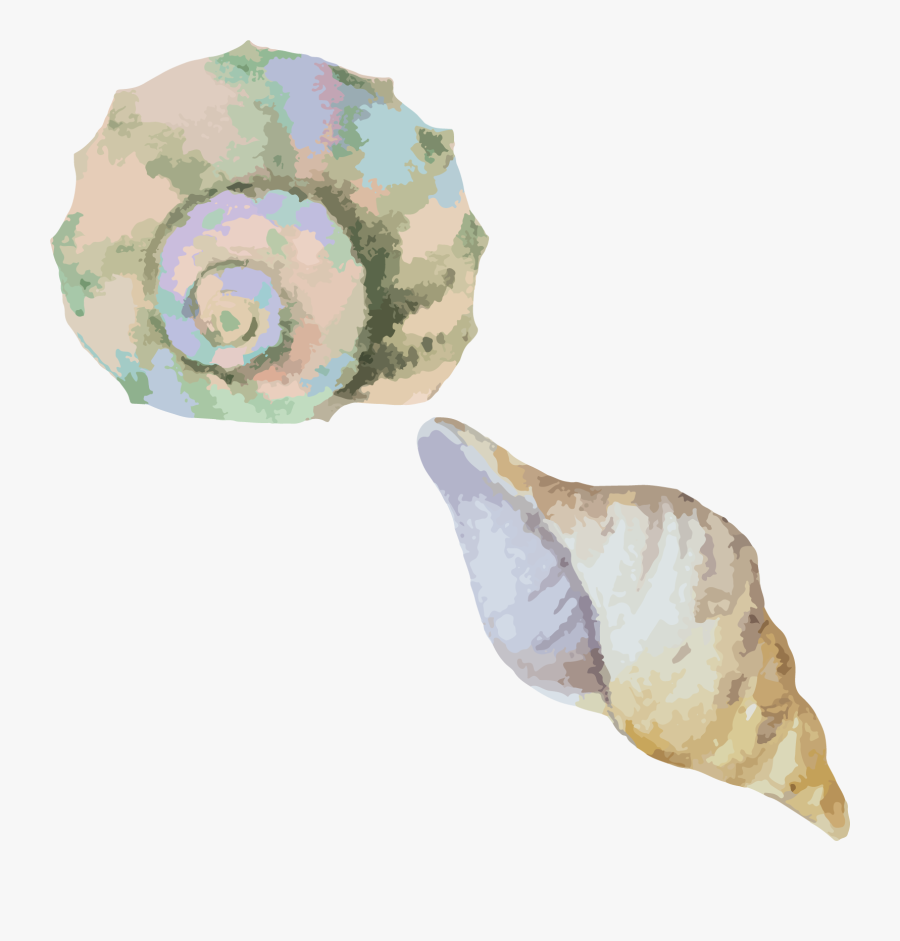 Transparent Sea Shell Clip Art - Transparent Watercolor Sea Shell, Transparent Clipart