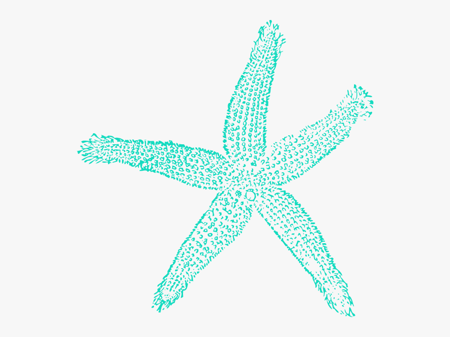 Transparent Star Fish Png - Coral Starfish Clipart, Transparent Clipart