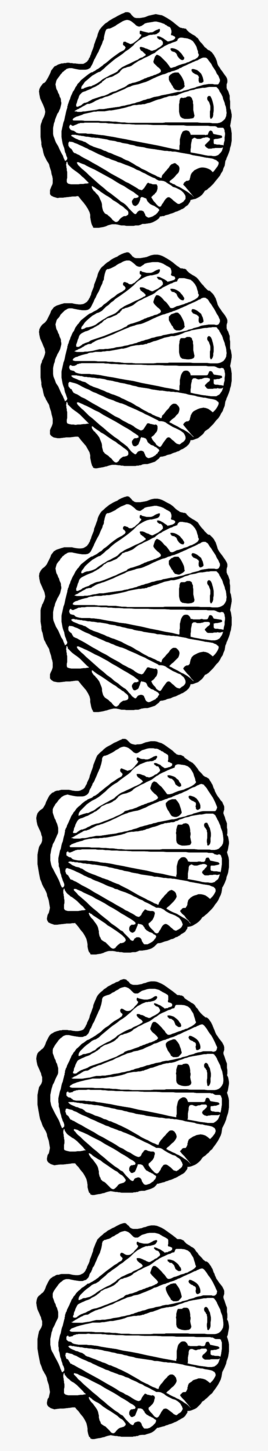 Line Of Seashells Clipart, Transparent Clipart