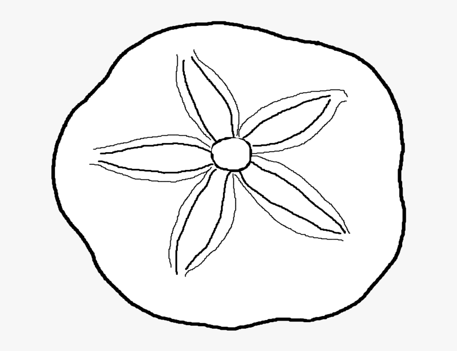 Coloring Page Seashell Sand Dollar - Sand Dollar Coloring Pages, Transparent Clipart