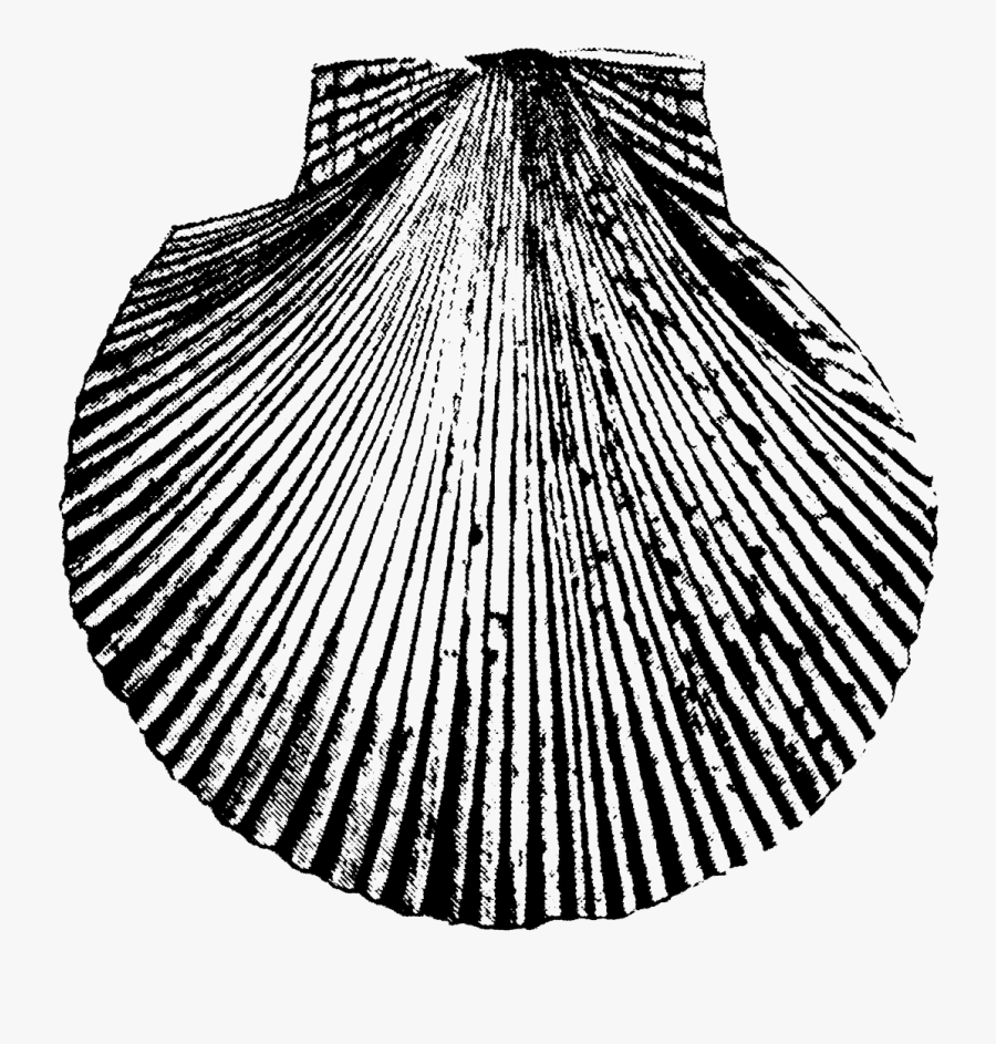 Necklace, Transparent Clipart