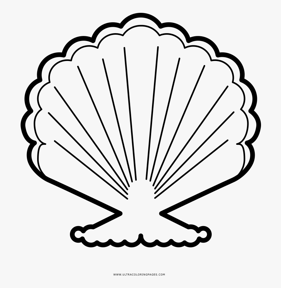 Seashell Coloring Page - Drawing, Transparent Clipart