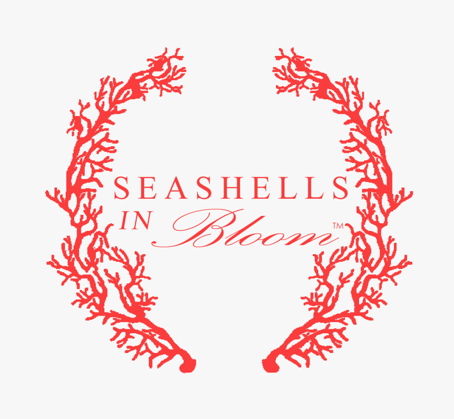 Circle, Transparent Clipart