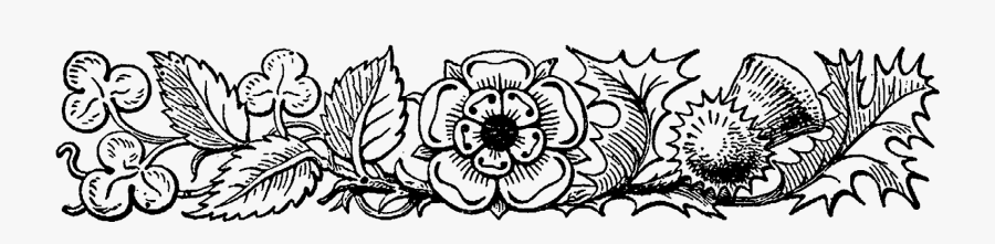 Decorative Border Design Flowers, Transparent Clipart