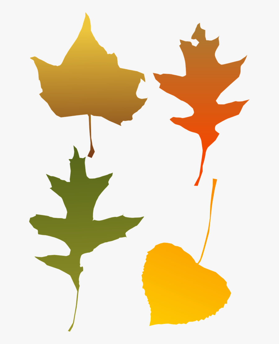 Fall Festival Craft Sale - Autumn Leaf Clip Art, Transparent Clipart