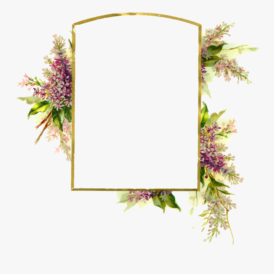 Digital Frame Wisteria Flower Floral Border Clip Art - Border Frame Template Png, Transparent Clipart