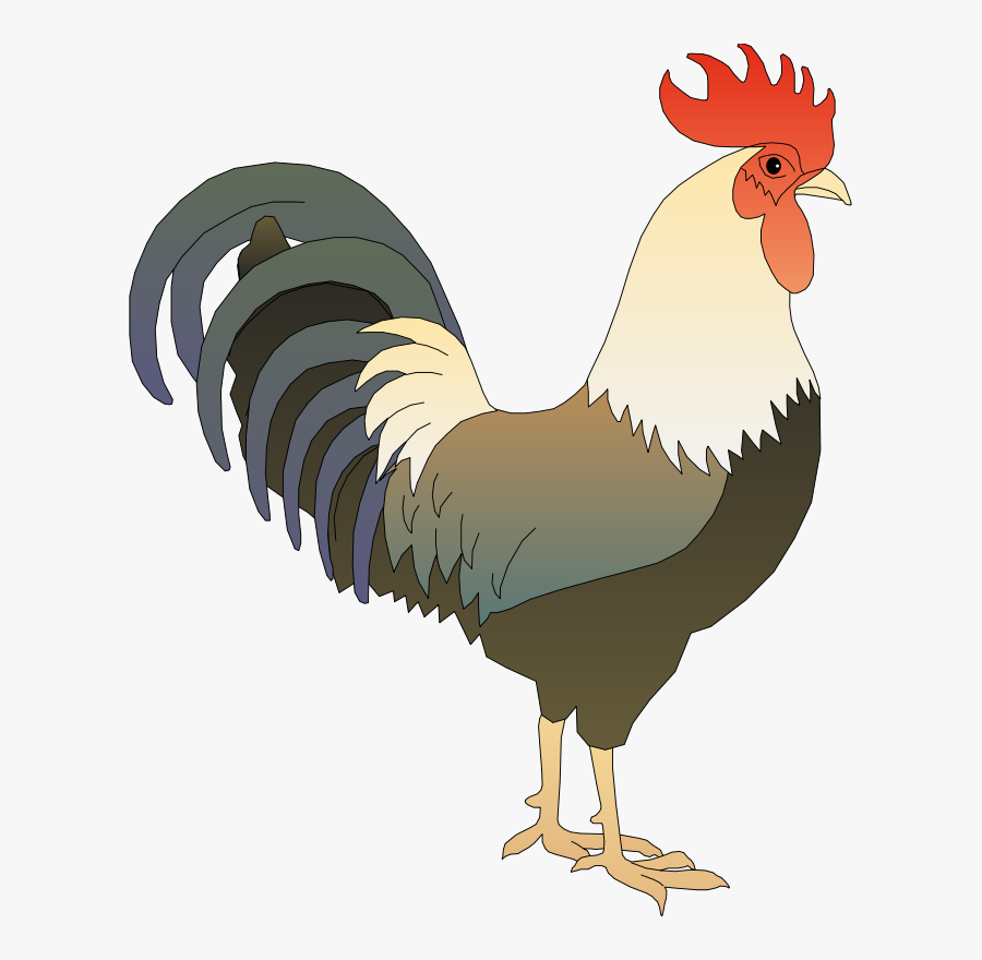 Free To Use Amp Public Domain Rooster Clip Art - Ayam Clipart, Transparent Clipart