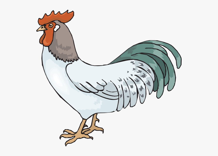Farm Rooster Clip Art - Rooster Clipart Png, Transparent Clipart