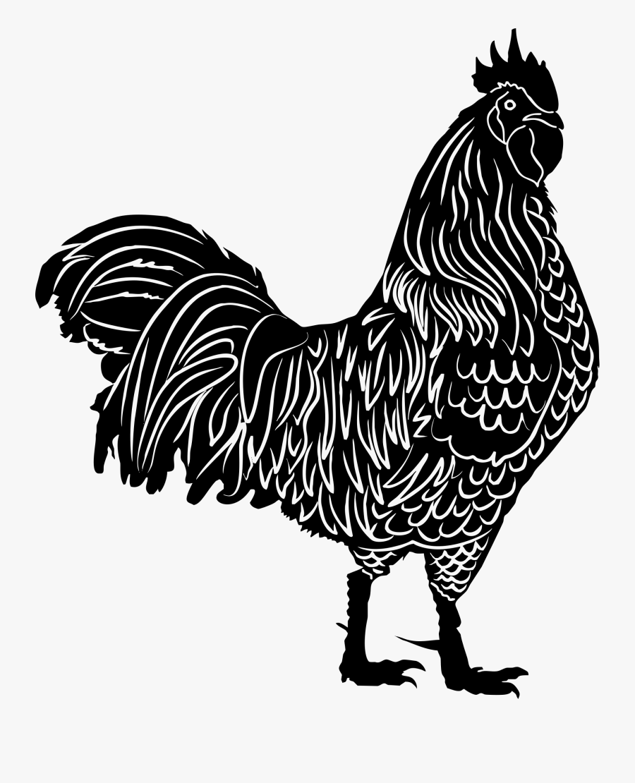 Detailed Rooster Silhouette - Rooster Silhouette, Transparent Clipart