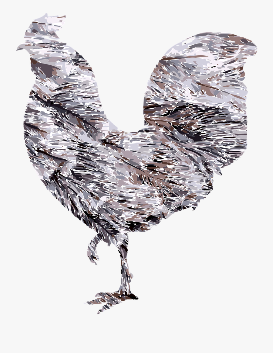 Rooster Chicken Bird Free Picture - Rooster, Transparent Clipart