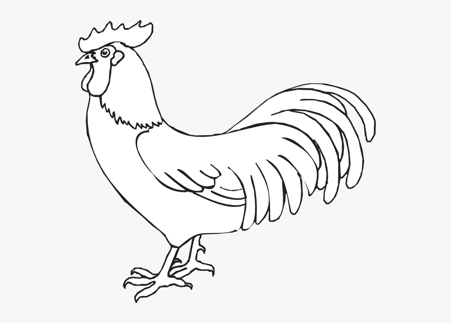 Bible Peter Deny Jesus, Transparent Clipart