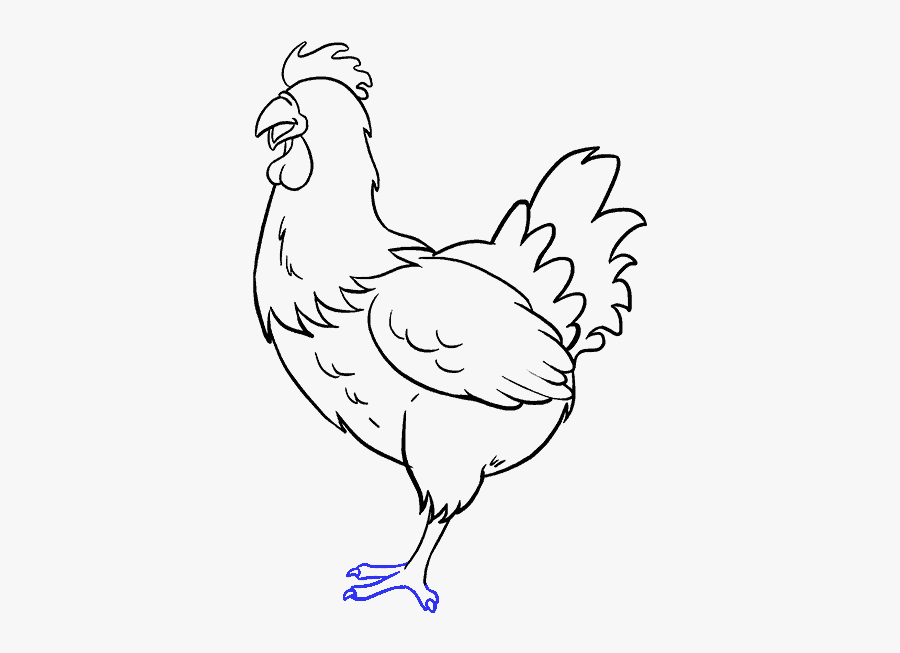 Chicken Drawing, Pencil, Sketch, Colorful, Realistic - Chicken Drawing, Transparent Clipart