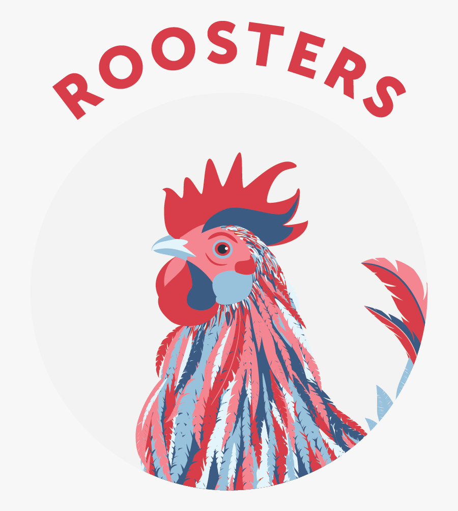 Rooster Image, Transparent Clipart