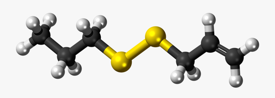 Allylpropyldisulfide Molecule Model Free Picture - Molecula 2 Nonenal, Transparent Clipart