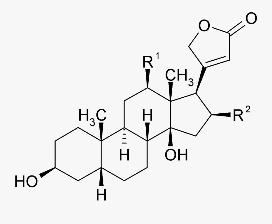 File - Digitalis Glycosides - Gitoxigenin, Transparent Clipart