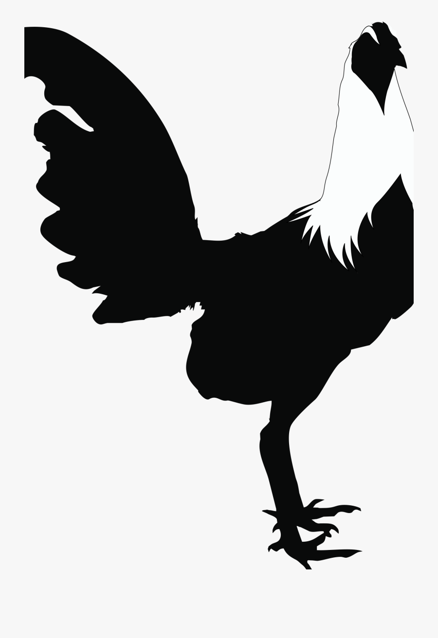Rooster-black&white - Silueta De Gallo De Pelea, Transparent Clipart