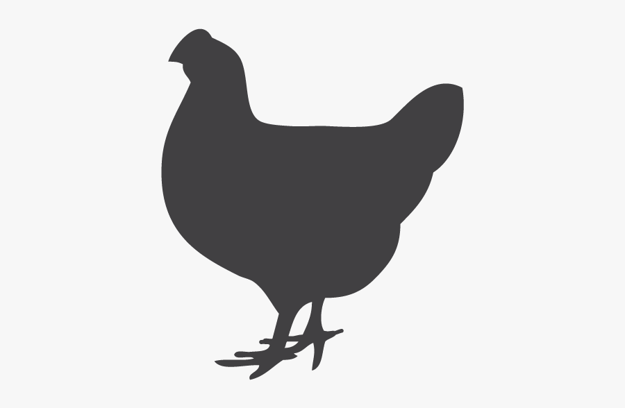 Rooster Chicken Silhouette Clip Art - Chicken Silhouette, Transparent Clipart