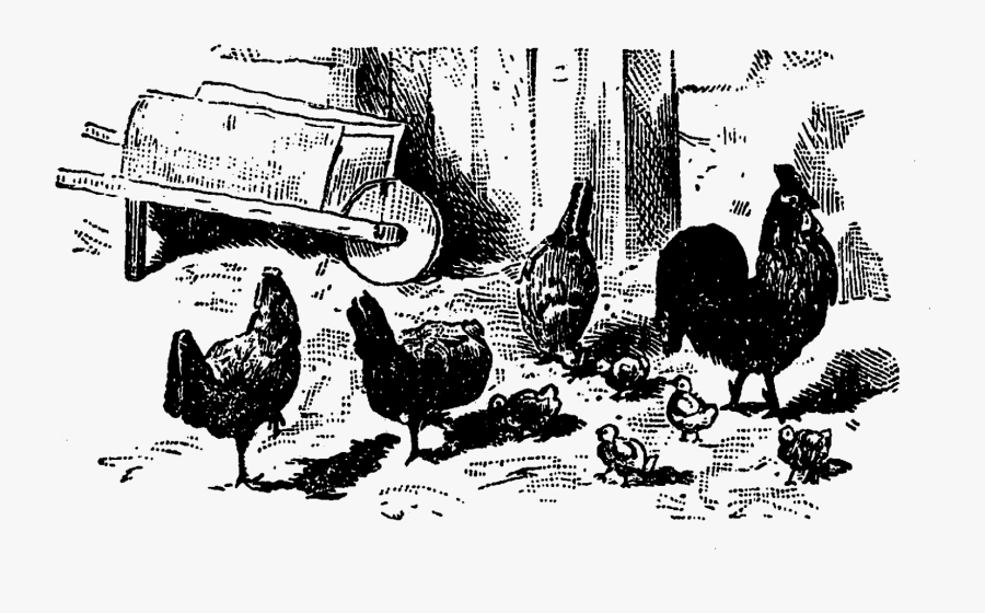 Illustration, Transparent Clipart