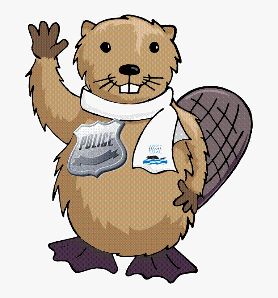 Beaver Detective Workshops Free, This Friday And Saturday, Transparent Clipart