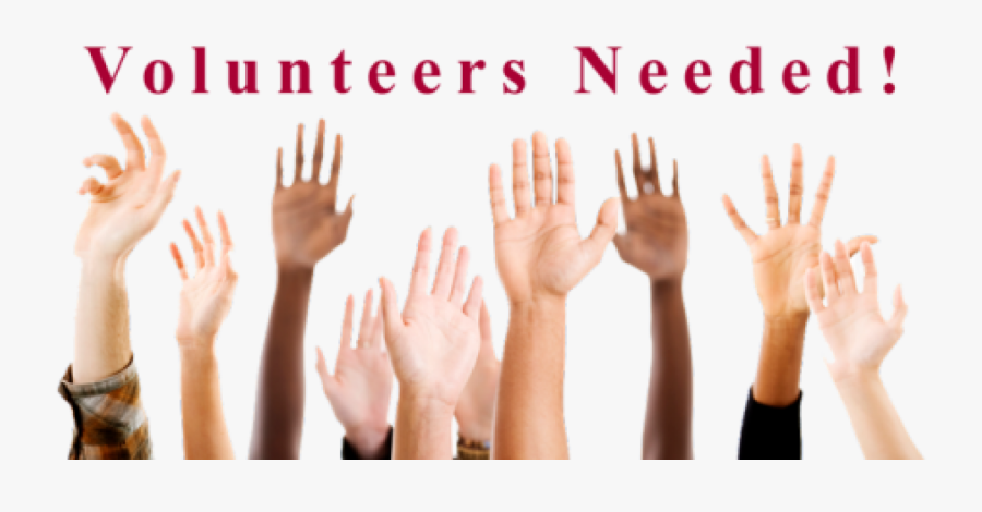 Volunteers To Represent A - Hands Up, Transparent Clipart