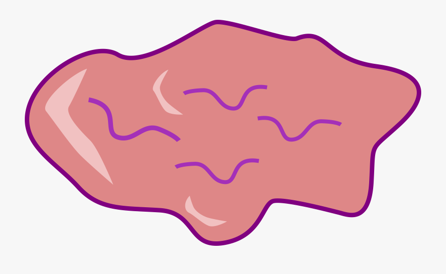 Transparent Gross Png, Transparent Clipart