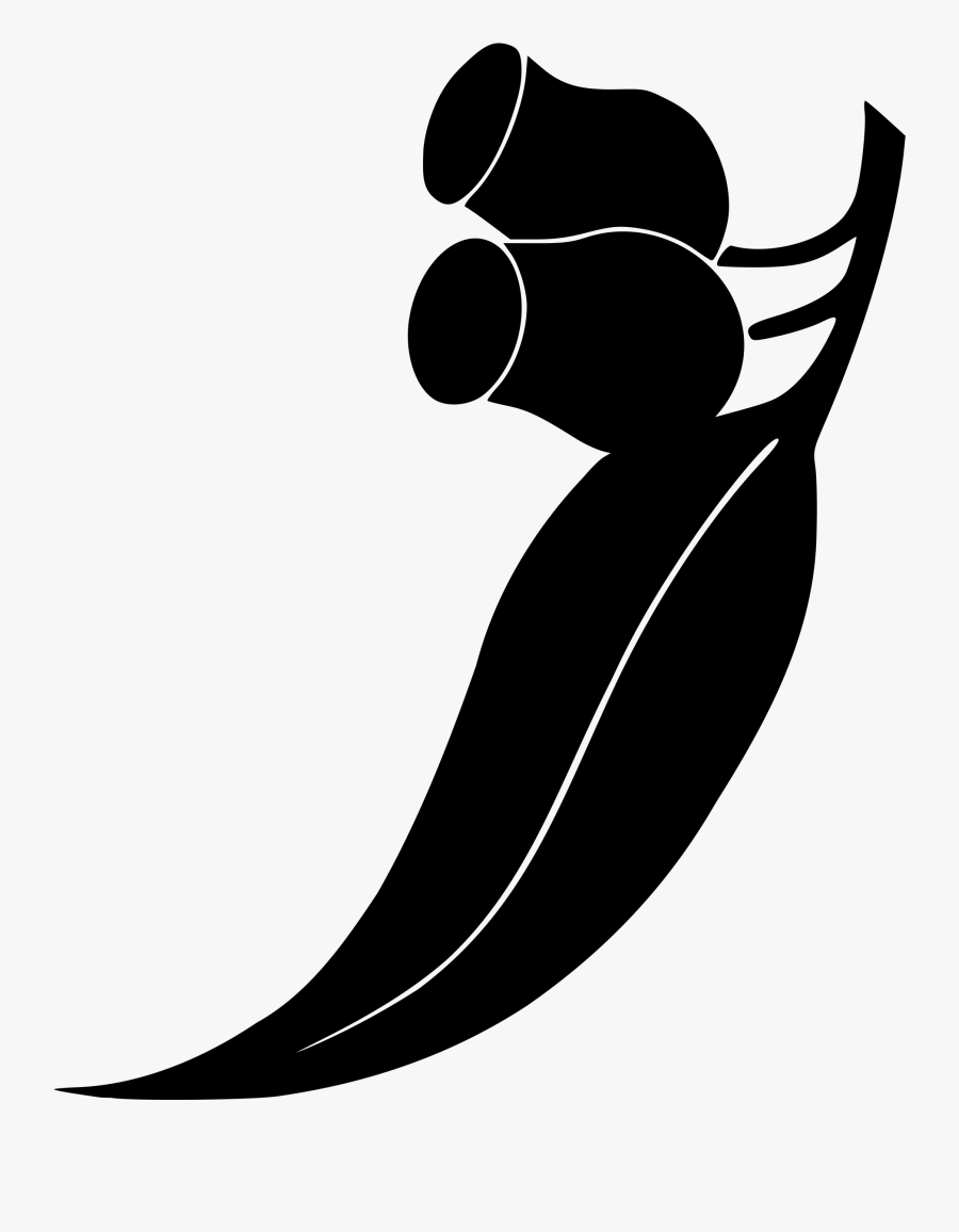 Gum Tree And Nuts - Gum Leaf Clip Art, Transparent Clipart