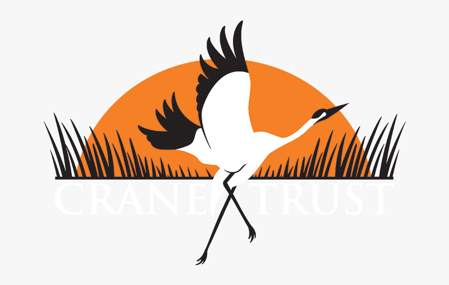 Crane Trust - Crane, Transparent Clipart