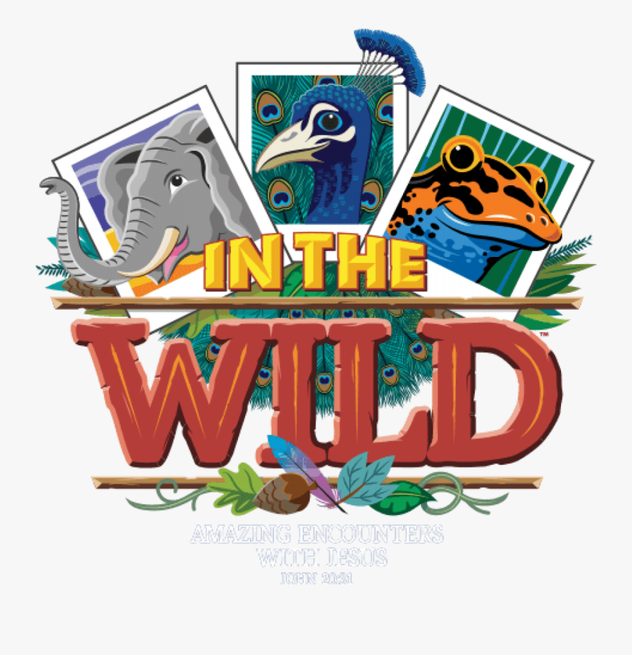 Vbs The Wild 2019, Transparent Clipart
