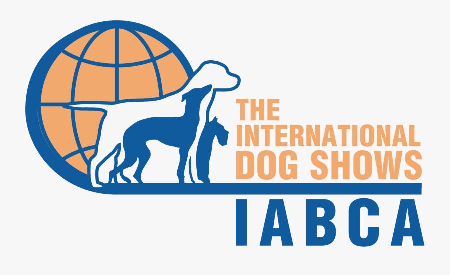 Transparent Golden Retriever Clipart, Transparent Clipart