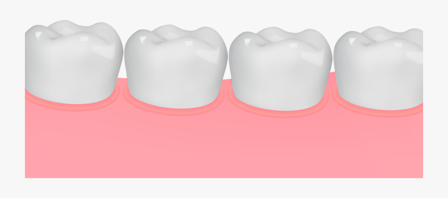 Gum And Teeth Png Clip Art Image - Tongue, Transparent Clipart