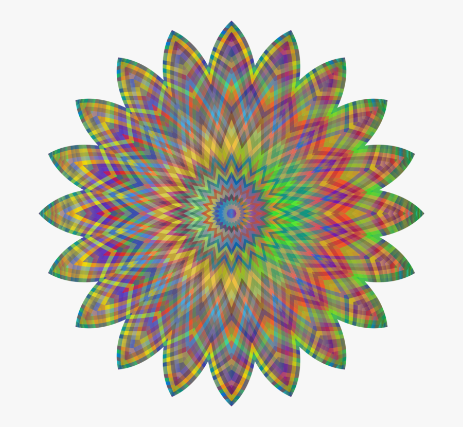 Plant,flower,symmetry - Nutella B Ready Stick, Transparent Clipart