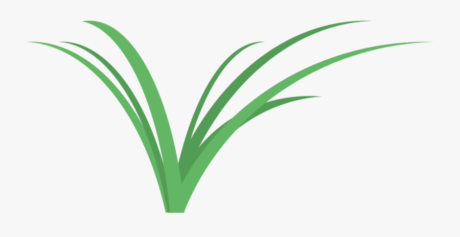 Botany,plant,flower, Transparent Clipart