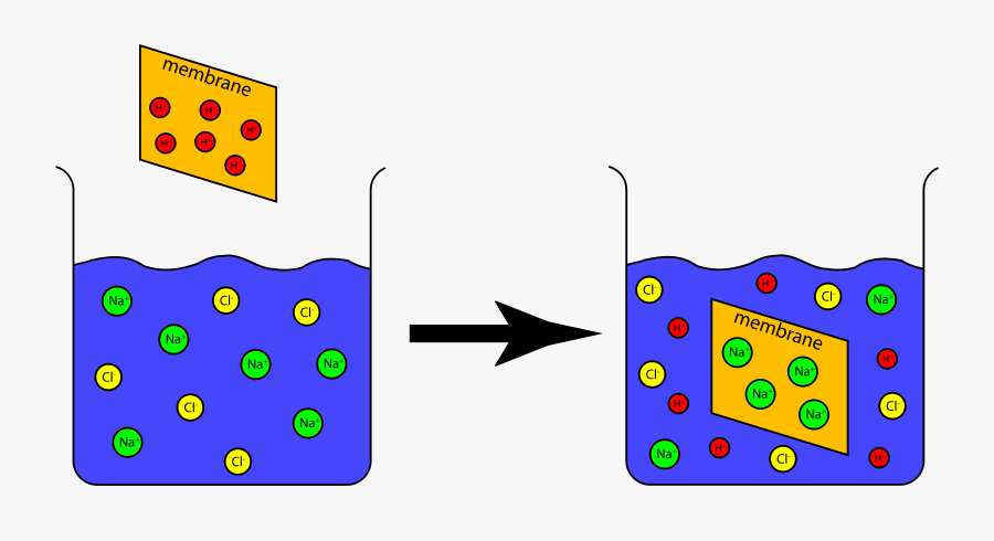 Ion Exchange Capacity Experiment Clip Arts - Animation Of Ion Exchange, Transparent Clipart